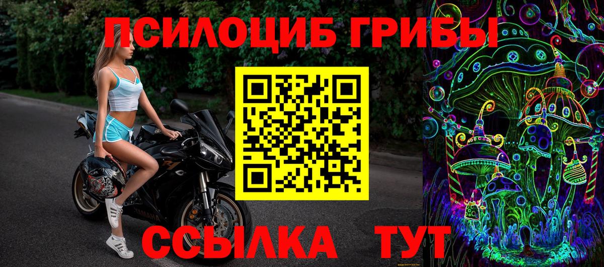 Псилоцибиновые грибы GOLDEN TEACHER  Псилоцибиновые грибы Psilocybe  Вход с VPN  Нурлат 